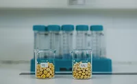 Equinom achieves 75% protein content in minimally processed pea protein