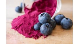 Symrise debuts range of natural blueberry ingredients for food applications