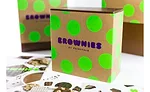 Fairytale Brownies