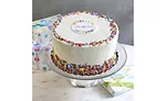 Daisy Cakes Happy Birthday Cakes and Mocha Minikins