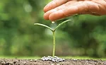 Efficient water management for snack and bakery facilities