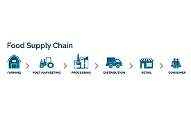 Cold Chain