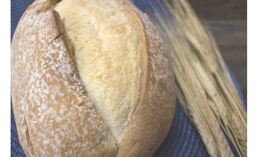 Brolite Bread 2