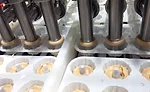 Snack foods and baked goods companies seek to purchase new dividers, depositors, rounders equipment