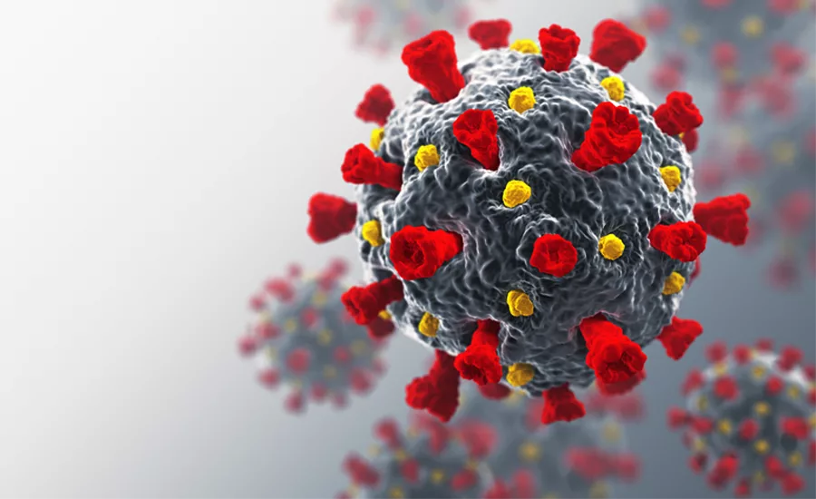 coronavirus