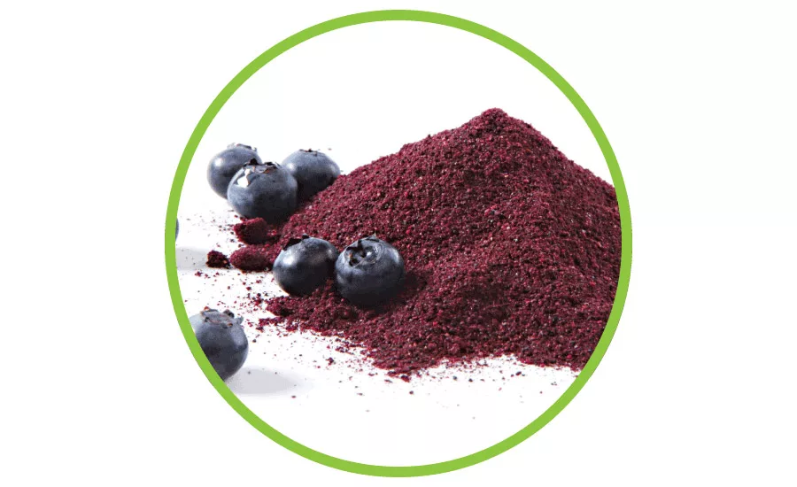 Fruit and vegetable ingredients add plant-based nutrition to snacks and baked goods