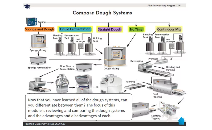compare dough systems