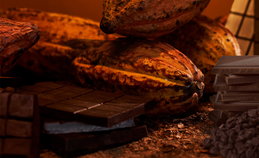 cacao