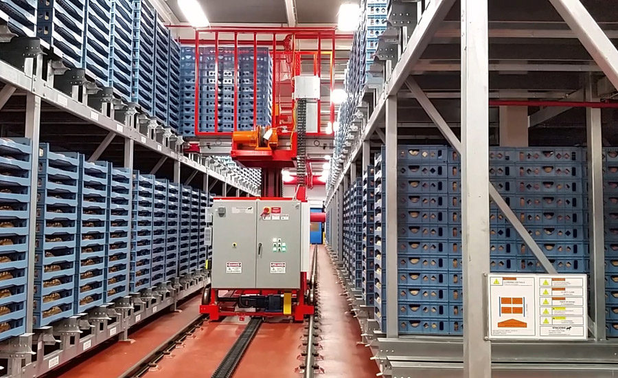 packaging automation