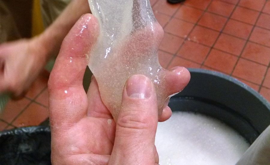 homogenous dough