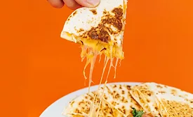 cheese quesadilla
