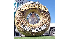 Woman hiding behind giant bagel-shaped Siegel’s Bagelmania sign