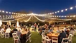 This image captures an outdoor evening reception, likely a corporate holiday party or a wedding, featuring festive string lights overhead. 