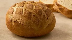 Gonnella sourdough