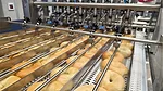Bagels in Formost Fuji packaging machine