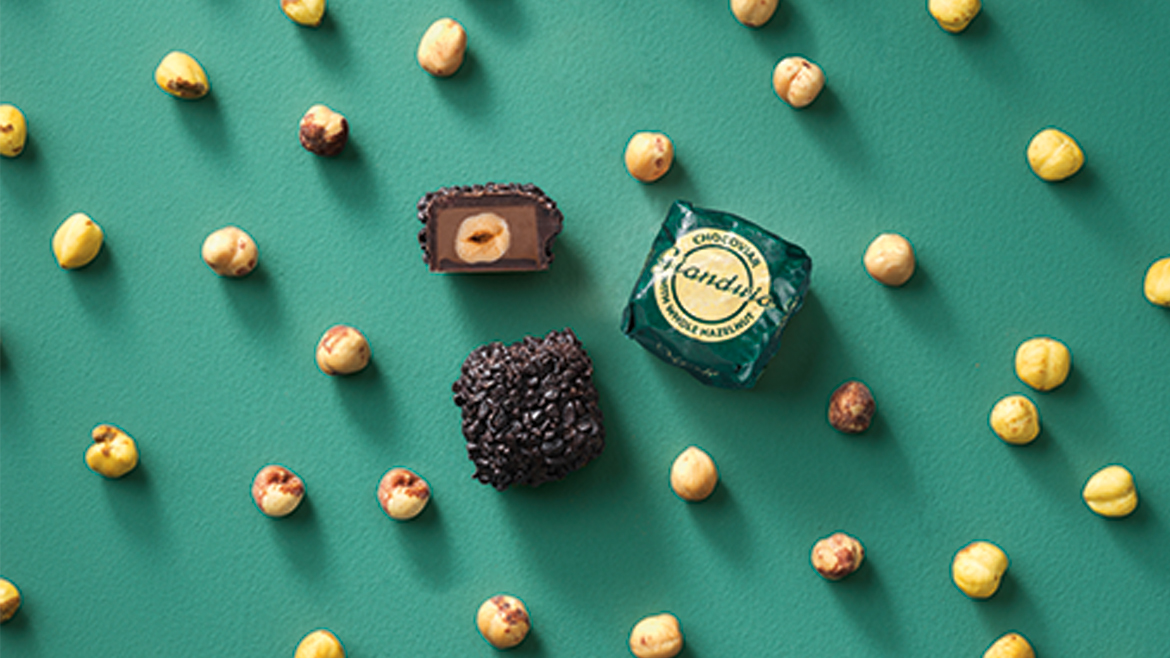Truffles on green background surrounded by hazelnuts