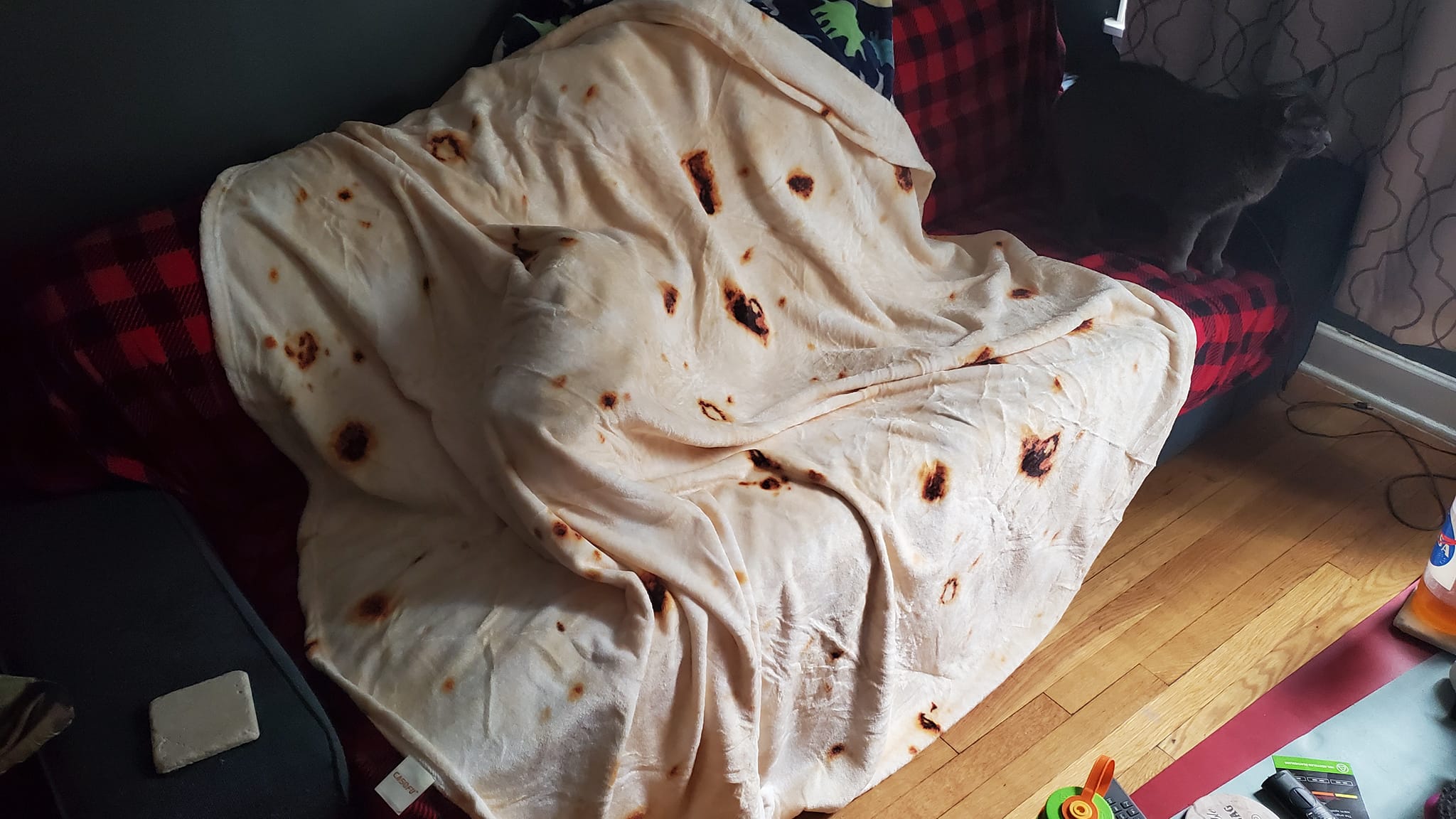 Giant blanket shaped like a tortilla on a couch next to Rizzo the cat