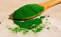 green spirulina 