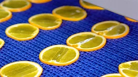 Fruit slices on blue conveyor belt