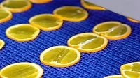 Fruit slices on blue conveyor belt Fruit slices on blue conveyor belt