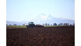 BENEO announces multi-million dollar investment program for prebiotic chicory root fiber worldwide