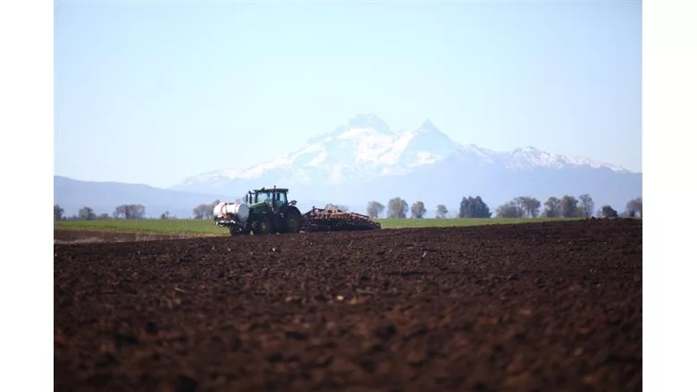 BENEO announces multi-million dollar investment program for prebiotic chicory root fiber worldwide