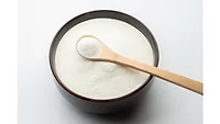 Rousselot adds porcine collagen production line at flagship Ghent facility