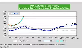 Reducing egg content in bakery to optimize cost and offset the increasingly volatile price of eggs