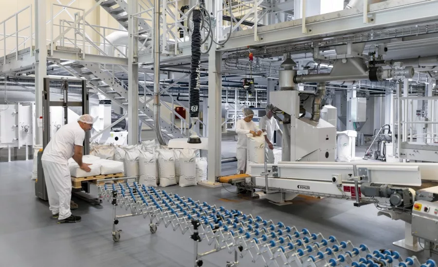 PRONATEC AG commissions cocoa processing plant with Bühler equipment