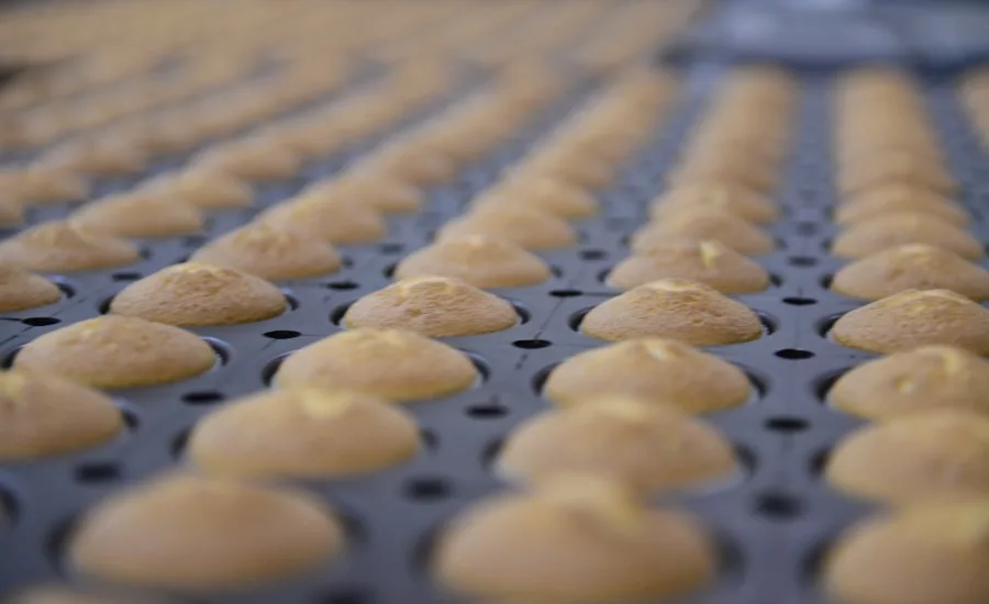 Case study: Almarai employs Syntegon technologies in its bakery manufacturing