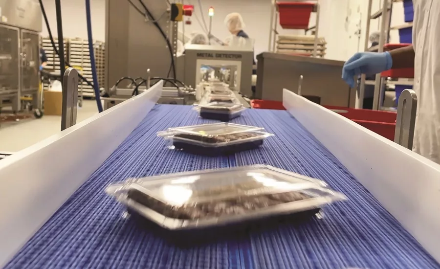 Case Report: The Killer Brownie Co.'s new product turner exceeds expectations