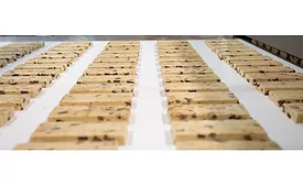 Case Study: TruFood increases food safety and boosts production capacity with automated sanitary conveyor from Luxme