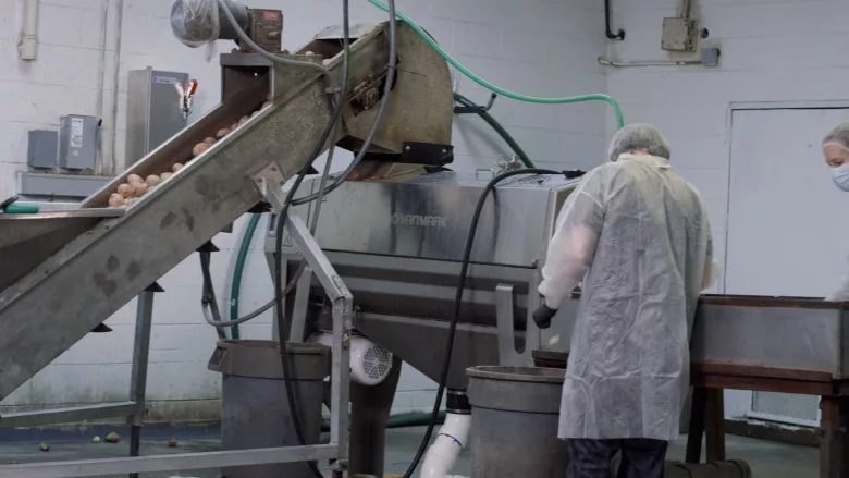 Case Study: Downey's Potato Chips poised for growth with upgraded Vanmark equipment