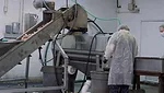 Case Study: Downey's Potato Chips poised for growth with upgraded Vanmark equipment