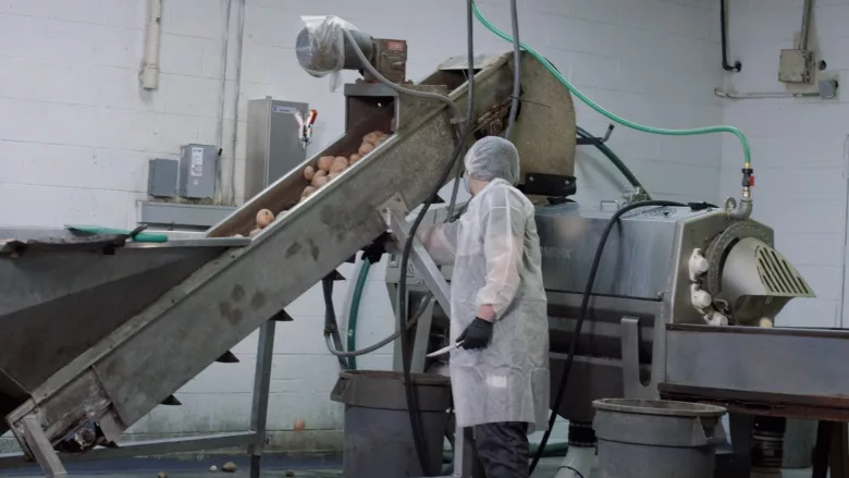 Case Study: Downey's Potato Chips poised for growth with upgraded Vanmark equipment