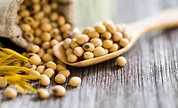 AAK BIC lecithin_web AAK BIC lecithin_web