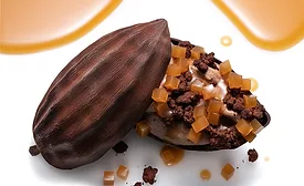 Valrhona cocoa fruit juice concentrate