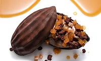 Valrhona cocoa fruit juice concentrate Valrhona cocoa fruit juice concentrate