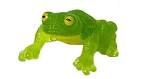 Pacific Giant Glass Frog_Yowie