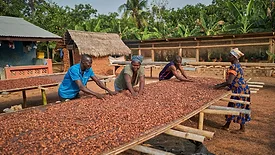 Barry Callebaut cocoa farmers