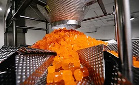 TopGum new plant_web.jpg