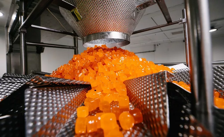 TopGum new plant_web.jpg