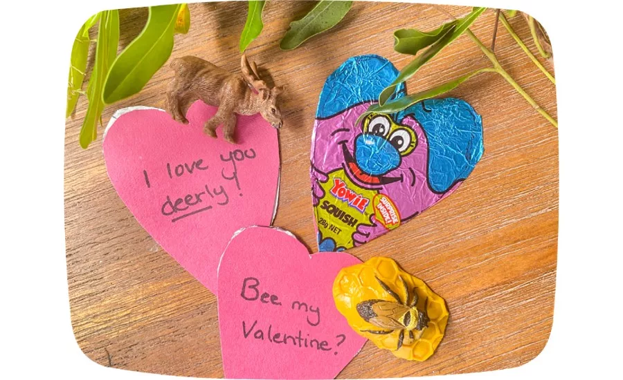 Yowie Valentines Day_web.jpg