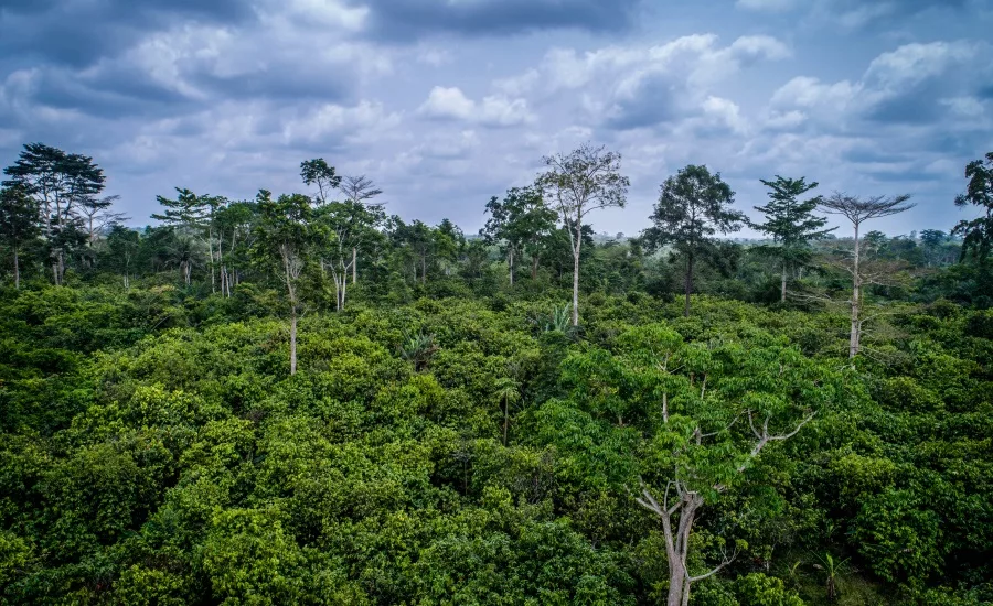 Koa finances $10 million to build Africa's largest cocoa fruit factory