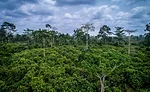 Koa finances $10 million to build Africa's largest cocoa fruit factory