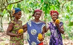Cocoa farmers Kwati, Faustina, Akua