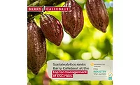 Sustainalytics ranks Barry Callebaut at top for management of ESG risks Sustainalytics ranks Barry Callebaut at top for management of ESG risks