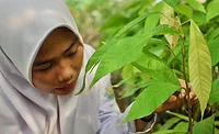 Mars Wrigley partners with Progress on Women's Empowerment to advance cocoa sustainability