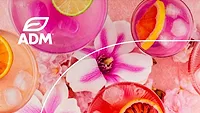 ADM reveals Flavor and Color Trend Outlook for 2023 ADM reveals Flavor and Color Trend Outlook for 2023