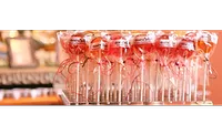 Dosha Lollipops Dosha Lollipops